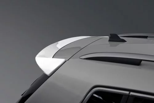 Caractere Roof Spoiler Sport, fits Volkswagen Tiguan Mk1