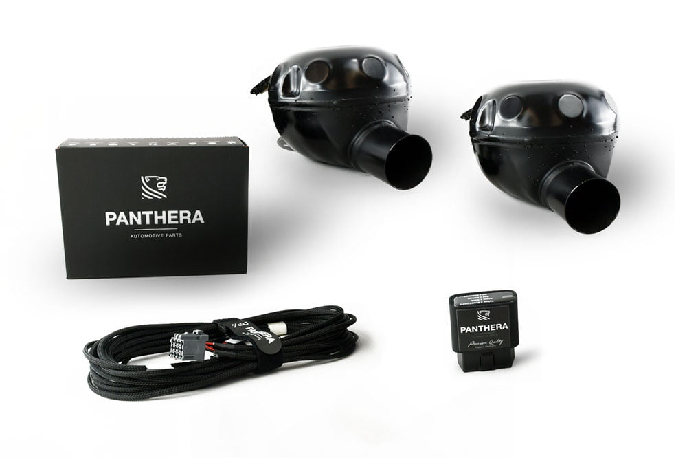 Panthera Leo Lite Active Sound Generator with 1 Speake